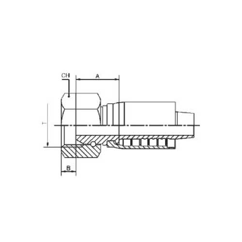 BSPP FEM STR HOSE