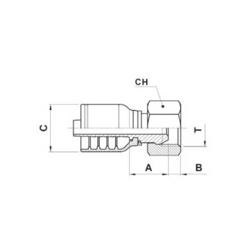 BSPP FEM STR HOSE
