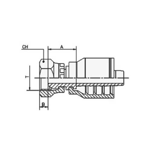 BSPP FEM STR HOSE