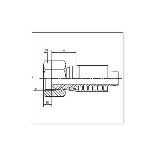 BSPP FEM STR HOSE