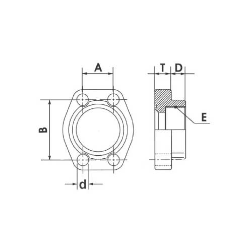 CODE 62 BSPP THREADED FLANGE (6,000 PSI)