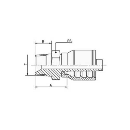 BSPT MALE STR HOSE