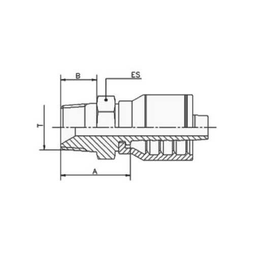 BSPT MALE STR HOSE