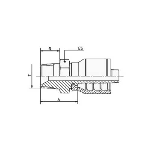 BSPT MALE STR HOSE