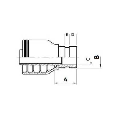 ROLL GROOVED PIPE HOSE TAIL